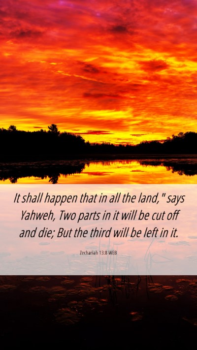 Picture 06 - Zechariah 13:8 WEB Mobile Phone Wallpaper - It shall happen that in all the land,
