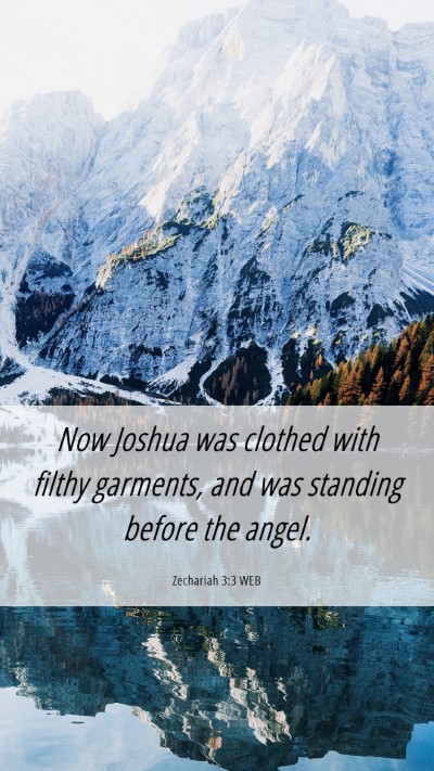 Picture 06 - Zechariah 3:3 WEB Mobile Phone Wallpaper - Now Joshua was clothed with filthy garments, and - Mobile Bible Verse Wallpaper