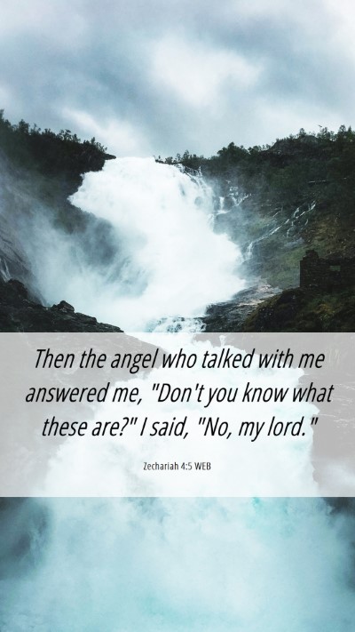 Picture 06 - Zechariah 4:5 WEB Mobile Phone Wallpaper - Then the angel who talked with me answered me, - Mobile Bible Verse Wallpaper