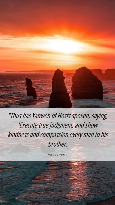 Picture 06 - Zechariah 7:9 WEB Mobile Phone Wallpaper - 