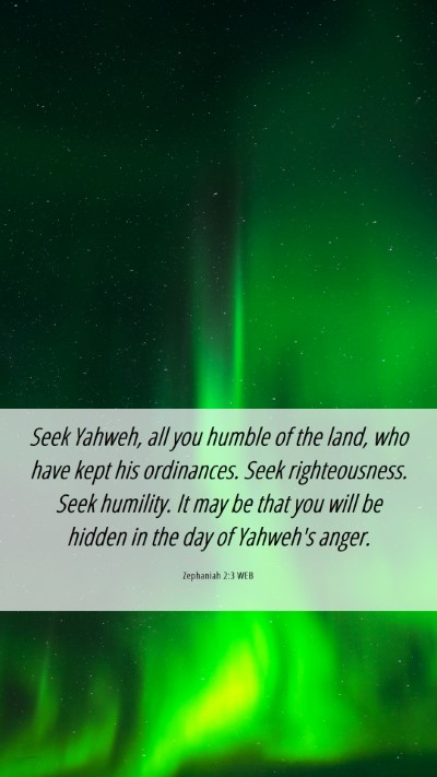 Picture 06 - Zephaniah 2:3 WEB Mobile Phone Wallpaper - Seek Yahweh, all you humble of the land, who have - Mobile Bible Verse Wallpaper