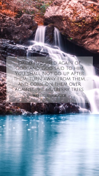 Picture 07 - 1 Chronicles 14:14 WEB Mobile Phone Wallpaper - David inquired again of God; and God said to him, - Mobile Bible Verse Wallpaper