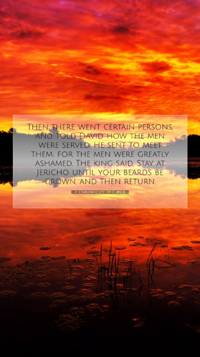 Picture 07 - 1 Chronicles 19:5 WEB Mobile Phone Wallpaper - Then there went certain persons, and told David - Mobile Bible Verse Wallpaper