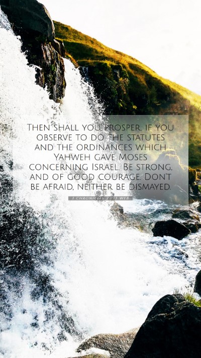 Picture 07 - 1 Chronicles 22:13 WEB Mobile Phone Wallpaper - Then shall you prosper, if you observe to do the - Mobile Bible Verse Wallpaper