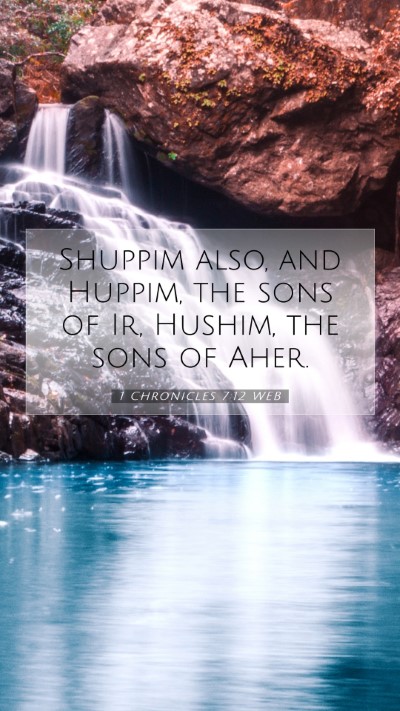 Picture 07 - 1 Chronicles 7:12 WEB Mobile Phone Wallpaper - Shuppim also, and Huppim, the sons of Ir, Hushim, - Mobile Bible Verse Wallpaper