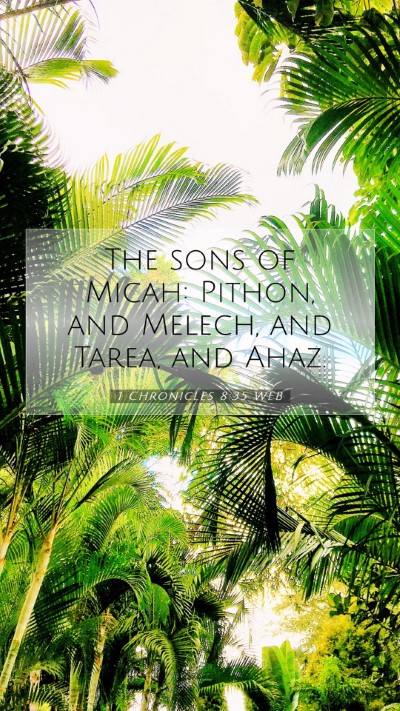 Picture 07 - 1 Chronicles 8:35 WEB Mobile Phone Wallpaper - The sons of Micah: Pithon, and Melech, and Tarea, - Mobile Bible Verse Wallpaper