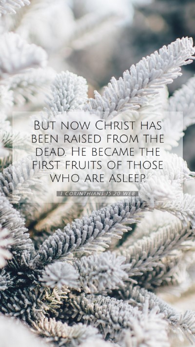 Picture 07 - 1 Corinthians 15:20 WEB Mobile Phone Wallpaper - But now Christ has been raised from the dead. He - Mobile Bible Verse Wallpaper