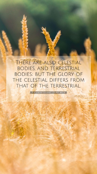 Picture 07 - 1 Corinthians 15:40 WEB Mobile Phone Wallpaper - There are also celestial bodies, and terrestrial - Mobile Bible Verse Wallpaper