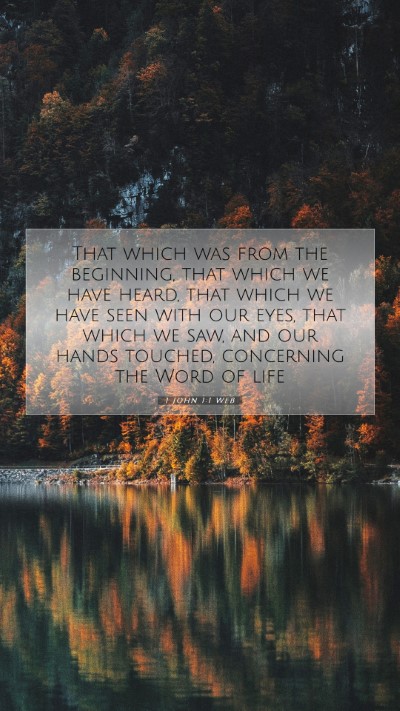 Picture 07 - 1 John 1:1 WEB Mobile Phone Wallpaper - That which was from the beginning, that which we - Mobile Bible Verse Wallpaper