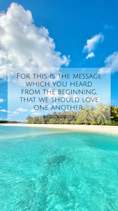 Picture 07 - 1 John 3:11 WEB Mobile Phone Wallpaper - For this is the message which you heard from the - Mobile Bible Verse Wallpaper