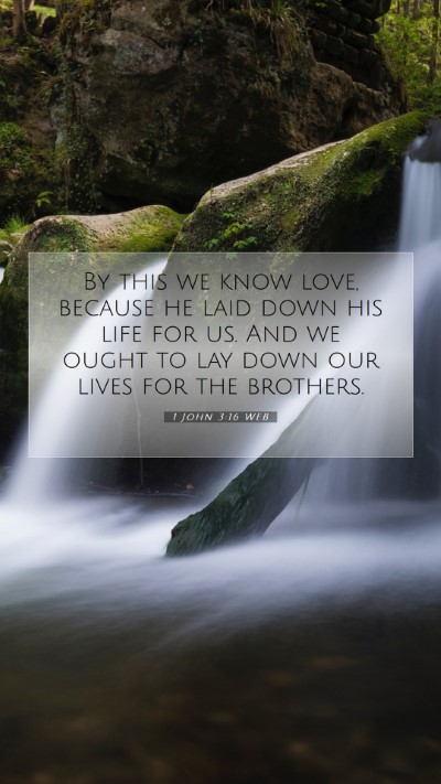 Picture 07 - 1 John 3:16 WEB Mobile Phone Wallpaper - By this we know love, because he laid down his - Mobile Bible Verse Wallpaper