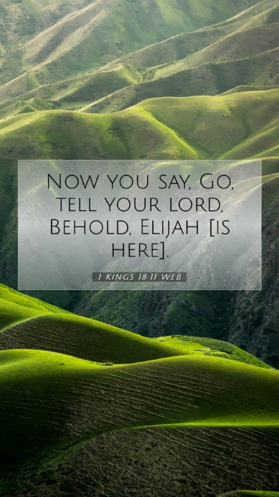 Picture 07 - 1 Kings 18:11 WEB Mobile Phone Wallpaper - Now you say, Go, tell your lord, Behold, Elijah - Mobile Bible Verse Wallpaper