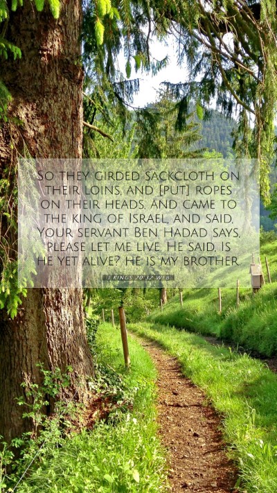 Picture 07 - 1 Kings 20:32 WEB Mobile Phone Wallpaper - So they girded sackcloth on their loins, and - Mobile Bible Verse Wallpaper