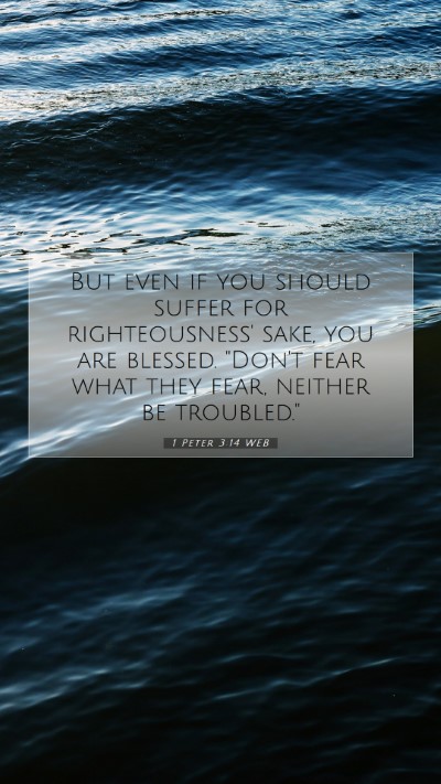 Picture 07 - 1 Peter 3:14 WEB Mobile Phone Wallpaper - But even if you should suffer for righteousness' - Mobile Bible Verse Wallpaper