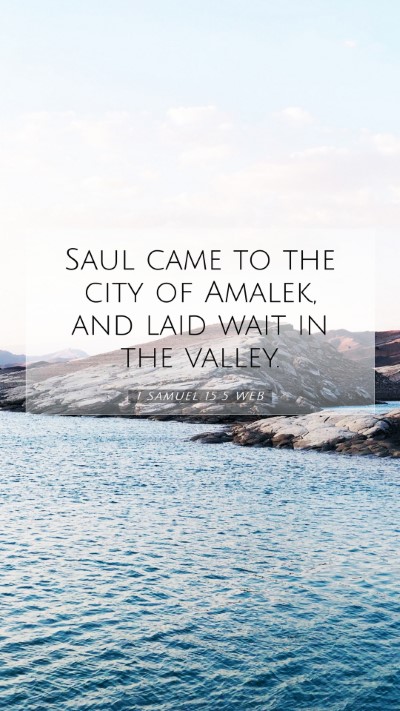 Picture 07 - 1 Samuel 15:5 WEB Mobile Phone Wallpaper - Saul came to the city of Amalek, and laid wait in - Mobile Bible Verse Wallpaper