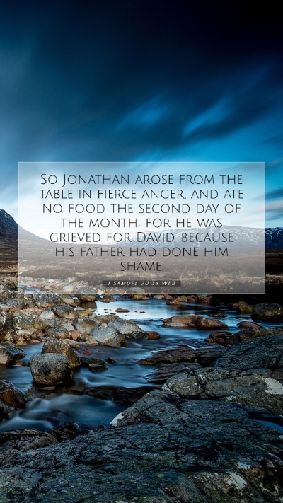 Picture 07 - 1 Samuel 20:34 WEB Mobile Phone Wallpaper - So Jonathan arose from the table in fierce anger, - Mobile Bible Verse Wallpaper
