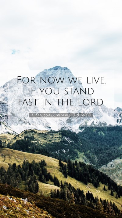 Picture 07 - 1 Thessalonians 3:8 WEB Mobile Phone Wallpaper - For now we live, if you stand fast in the - Mobile Bible Verse Wallpaper