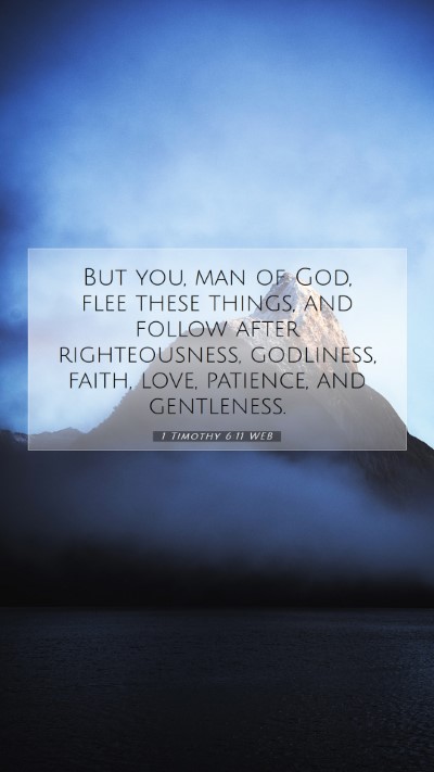 Picture 07 - 1 Timothy 6:11 WEB Mobile Phone Wallpaper - But you, man of God, flee these things, and - Mobile Bible Verse Wallpaper