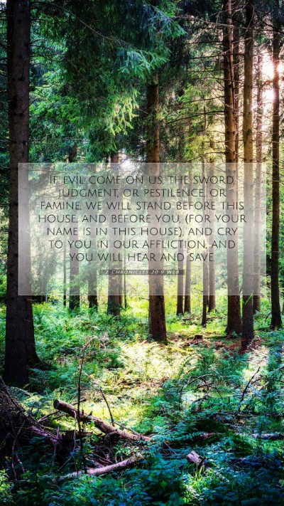 Picture 07 - 2 Chronicles 20:9 WEB Mobile Phone Wallpaper - If evil come on us, the sword, judgment, or - Mobile Bible Verse Wallpaper