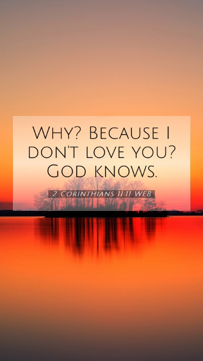 Picture 07 - 2 Corinthians 11:11 WEB Mobile Phone Wallpaper - Why? Because I don't love you? God - Mobile Bible Verse Wallpaper