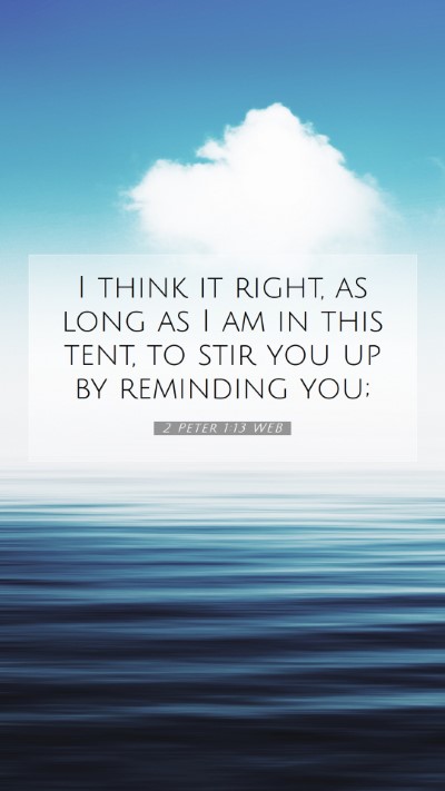 Picture 07 - 2 Peter 1:13 WEB Mobile Phone Wallpaper - I think it right, as long as I am in this tent, - Mobile Bible Verse Wallpaper
