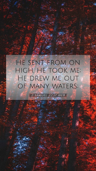 Picture 07 - 2 Samuel 22:17 WEB Mobile Phone Wallpaper - He sent from on high, he took me; He drew me out - Mobile Bible Verse Wallpaper
