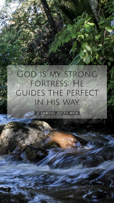 Picture 07 - 2 Samuel 22:33 WEB Mobile Phone Wallpaper - God is my strong fortress; He guides the perfect - Mobile Bible Verse Wallpaper