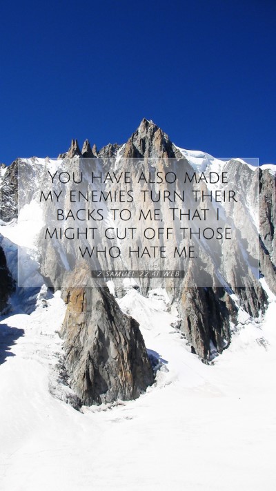 Picture 07 - 2 Samuel 22:41 WEB Mobile Phone Wallpaper - You have also made my enemies turn their backs to - Mobile Bible Verse Wallpaper
