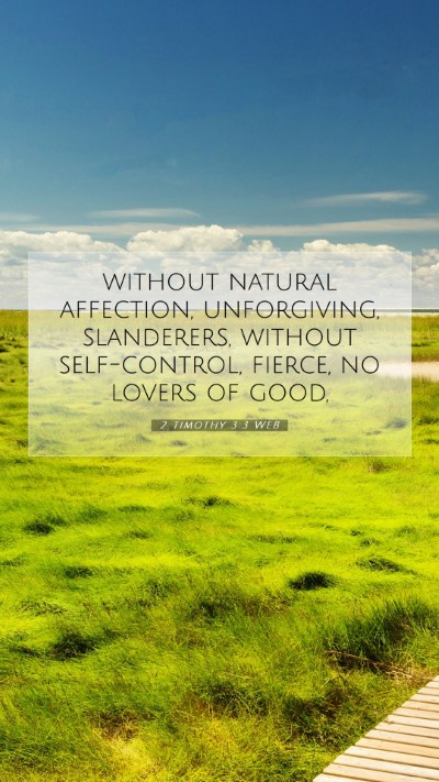 Picture 07 - 2 Timothy 3:3 WEB Mobile Phone Wallpaper - without natural affection, unforgiving, - Mobile Bible Verse Wallpaper
