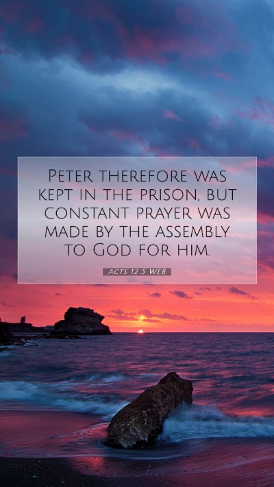 Picture 07 - Acts 12:5 WEB Mobile Phone Wallpaper - Peter therefore was kept in the prison, but - Mobile Bible Verse Wallpaper