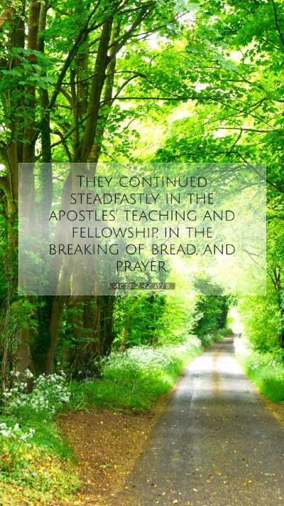 Picture 07 - Acts 2:42 WEB Mobile Phone Wallpaper - They continued steadfastly in the apostles' - Mobile Bible Verse Wallpaper