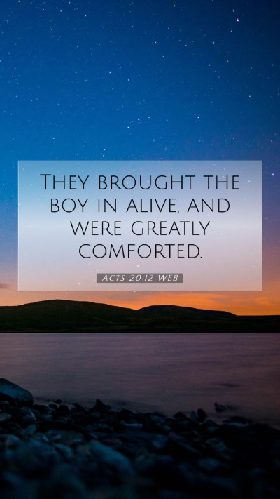 Picture 07 - Acts 20:12 WEB Mobile Phone Wallpaper - They brought the boy in alive, and were greatly - Mobile Bible Verse Wallpaper