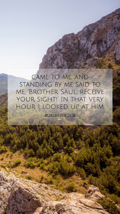 Picture 07 - Acts 22:13 WEB Mobile Phone Wallpaper - came to me, and standing by me said to me, - Mobile Bible Verse Wallpaper