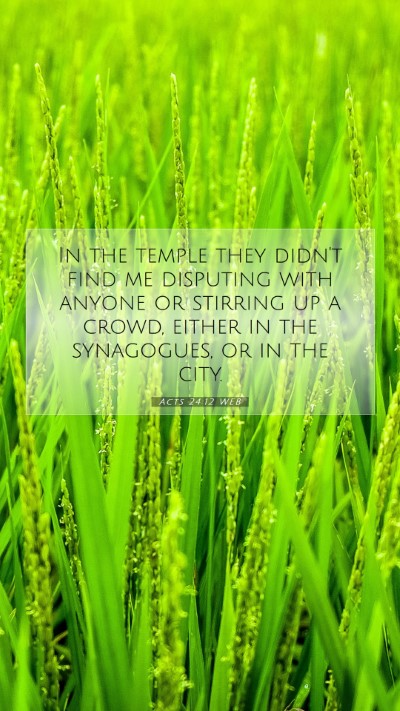 Picture 07 - Acts 24:12 WEB Mobile Phone Wallpaper - In the temple they didn't find me disputing with - Mobile Bible Verse Wallpaper