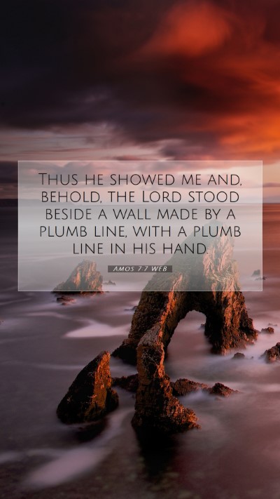 Picture 07 - Amos 7:7 WEB Mobile Phone Wallpaper - Thus he showed me and, behold, the Lord stood - Mobile Bible Verse Wallpaper
