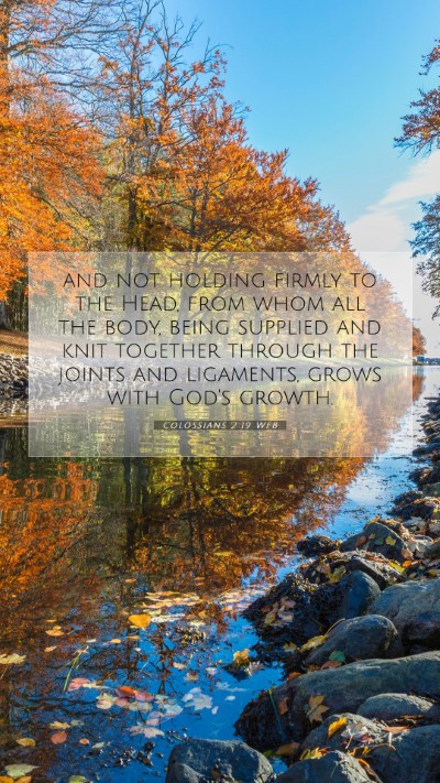 Picture 07 - Colossians 2:19 WEB Mobile Phone Wallpaper - and not holding firmly to the Head, from whom all - Mobile Bible Verse Wallpaper