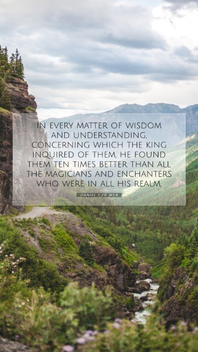 Picture 07 - Daniel 1:20 WEB Mobile Phone Wallpaper - In every matter of wisdom and understanding, - Mobile Bible Verse Wallpaper