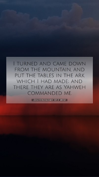 Picture 07 - Deuteronomy 10:5 WEB Mobile Phone Wallpaper - I turned and came down from the mountain, and put - Mobile Bible Verse Wallpaper