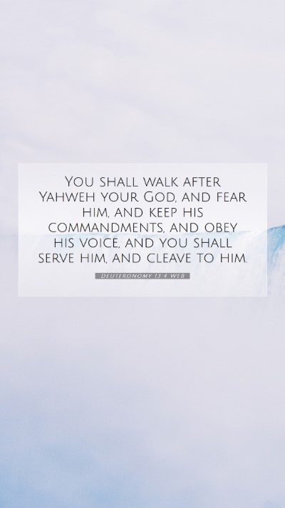 Picture 07 - Deuteronomy 13:4 WEB Mobile Phone Wallpaper - You shall walk after Yahweh your God, and fear - Mobile Bible Verse Wallpaper