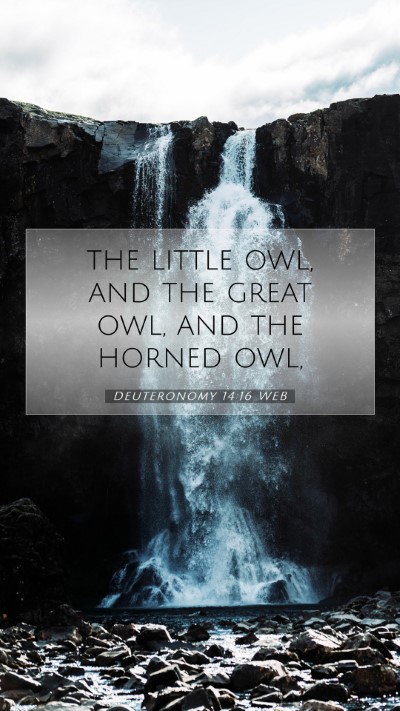 Picture 07 - Deuteronomy 14:16 WEB Mobile Phone Wallpaper - the little owl, and the great owl, and the horned - Mobile Bible Verse Wallpaper