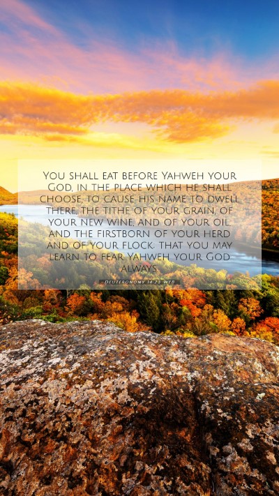Picture 07 - Deuteronomy 14:23 WEB Mobile Phone Wallpaper - You shall eat before Yahweh your God, in the - Mobile Bible Verse Wallpaper