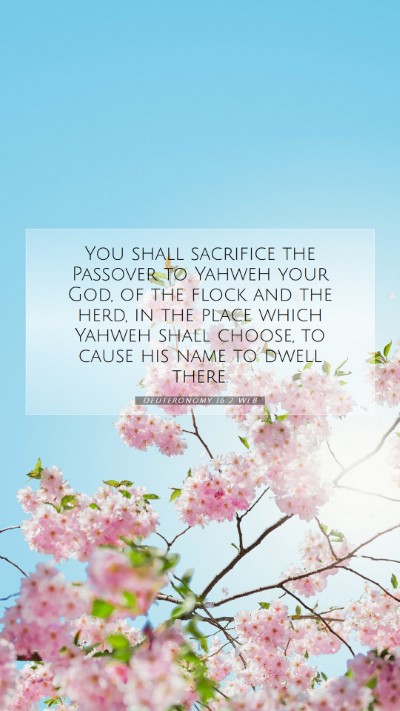 Picture 07 - Deuteronomy 16:2 WEB Mobile Phone Wallpaper - You shall sacrifice the Passover to Yahweh your - Mobile Bible Verse Wallpaper