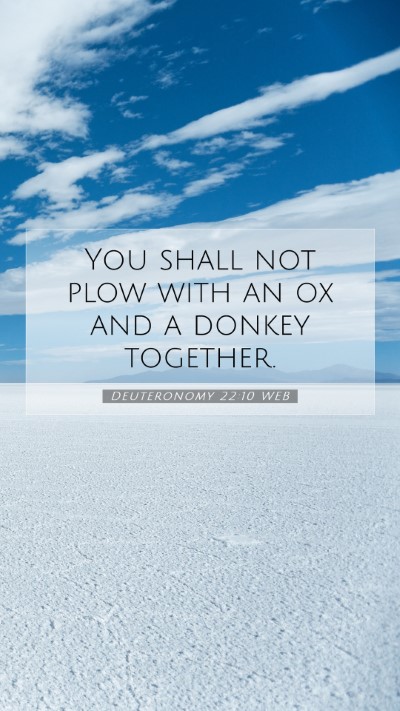 Picture 07 - Deuteronomy 22:10 WEB Mobile Phone Wallpaper - You shall not plow with an ox and a donkey - Mobile Bible Verse Wallpaper