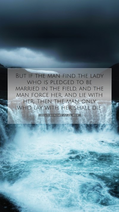 Picture 07 - Deuteronomy 22:25 WEB Mobile Phone Wallpaper - But if the man find the lady who is pledged to be - Mobile Bible Verse Wallpaper