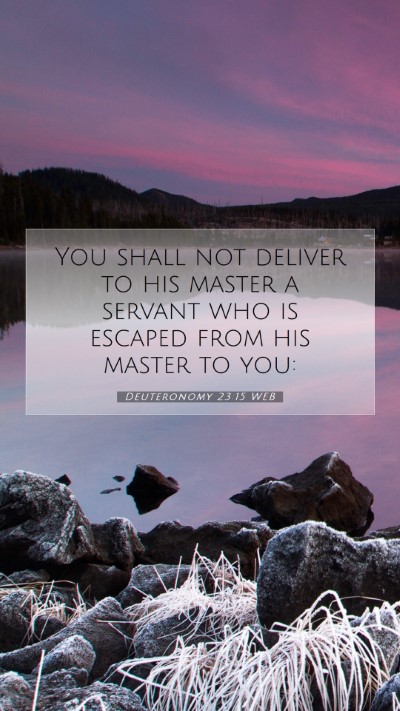 Picture 07 - Deuteronomy 23:15 WEB Mobile Phone Wallpaper - You shall not deliver to his master a servant who - Mobile Bible Verse Wallpaper