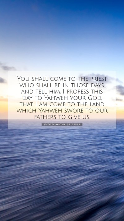 Picture 07 - Deuteronomy 26:3 WEB Mobile Phone Wallpaper - You shall come to the priest who shall be in - Mobile Bible Verse Wallpaper