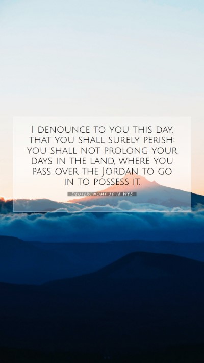 Picture 07 - Deuteronomy 30:18 WEB Mobile Phone Wallpaper - I denounce to you this day, that you shall surely - Mobile Bible Verse Wallpaper