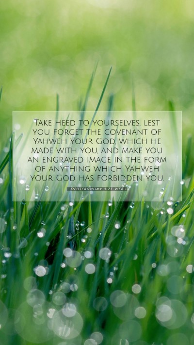 Picture 07 - Deuteronomy 4:23 WEB Mobile Phone Wallpaper - Take heed to yourselves, lest you forget the - Mobile Bible Verse Wallpaper