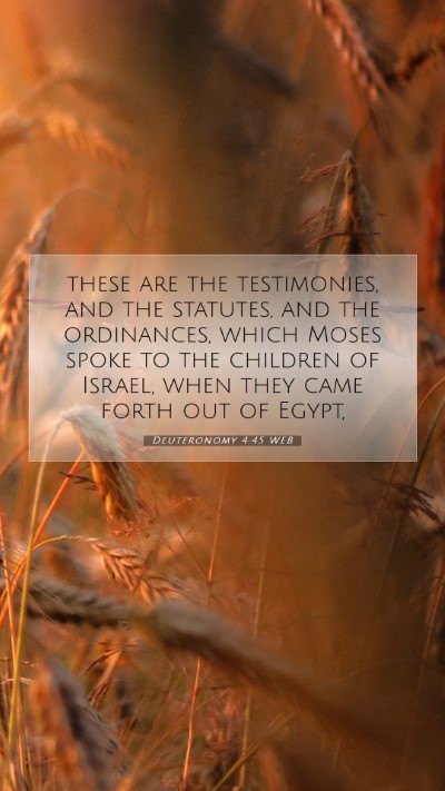 Picture 07 - Deuteronomy 4:45 WEB Mobile Phone Wallpaper - these are the testimonies, and the statutes, and - Mobile Bible Verse Wallpaper