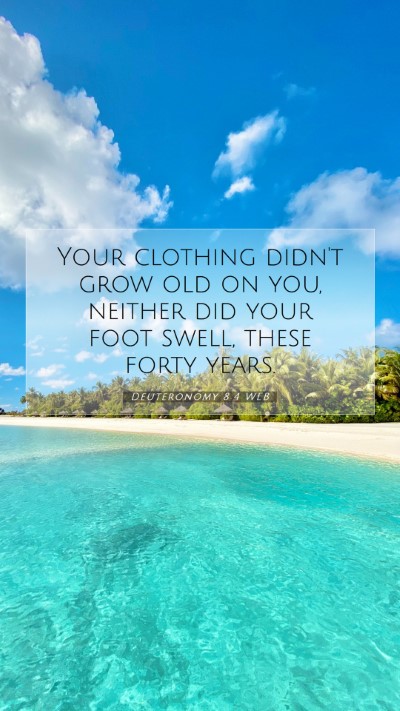 Picture 07 - Deuteronomy 8:4 WEB Mobile Phone Wallpaper - Your clothing didn't grow old on you, neither did - Mobile Bible Verse Wallpaper
